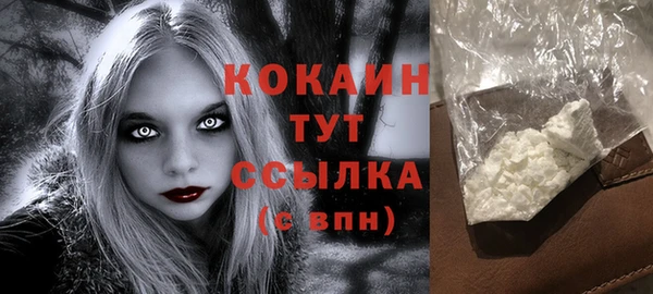 кокс Алексин